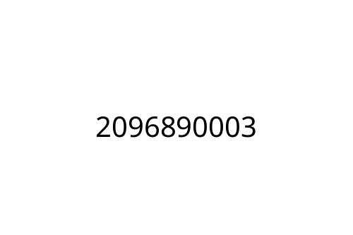 2096890003