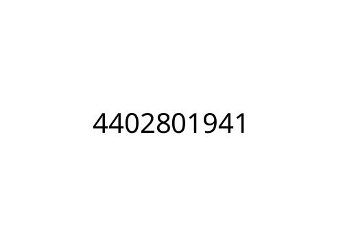 4402801941