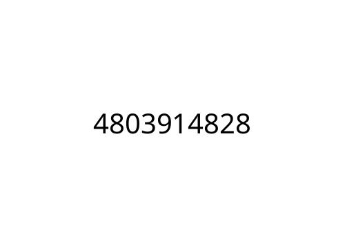 4803914828