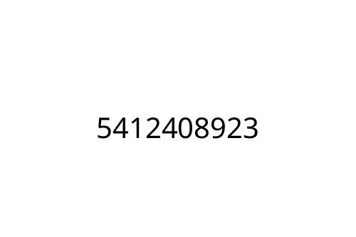 5412408923