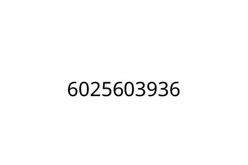 6025603936
