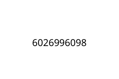 6026996098