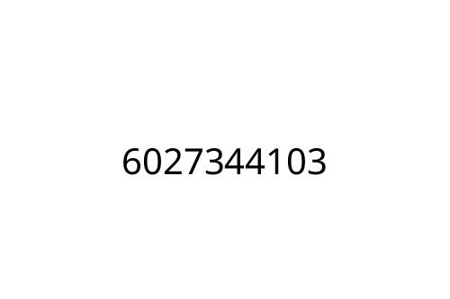 6027344103