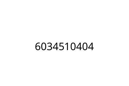 6034510404