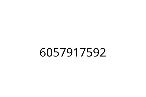 6057917592