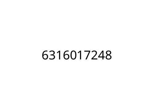 6316017248