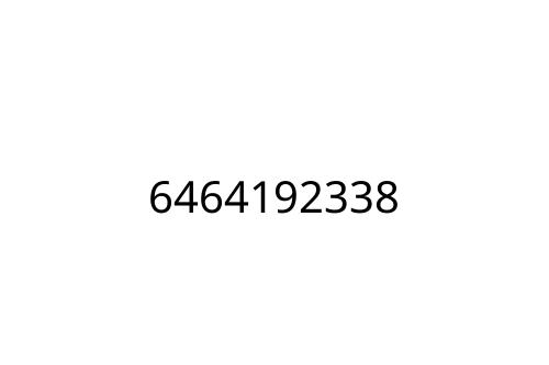 6464192338