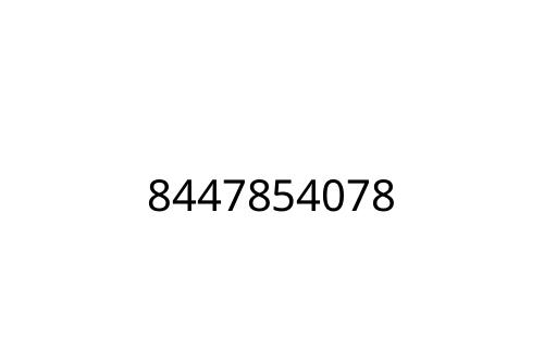 8447854078