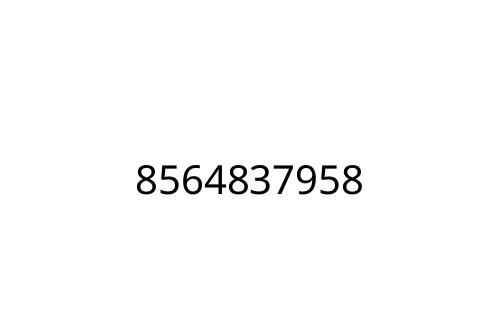 8564837958
