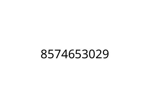 8574653029