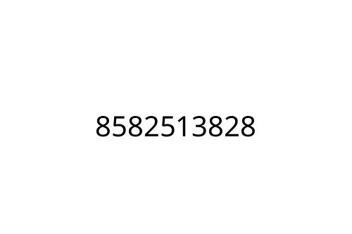8582513828