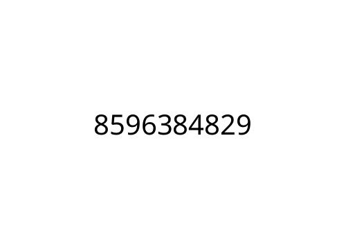 8596384829