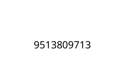 9513809713