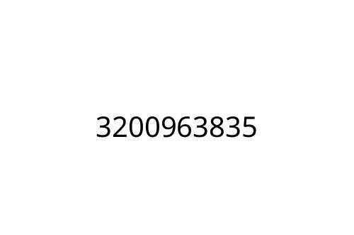3200963835