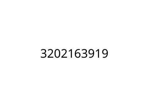 3202163919
