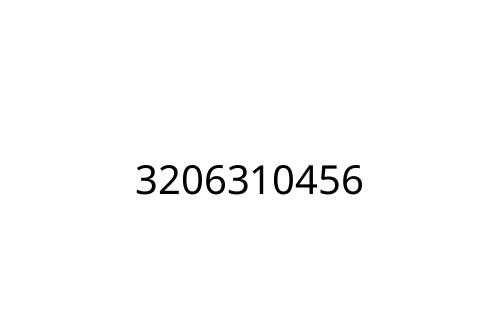 3206310456