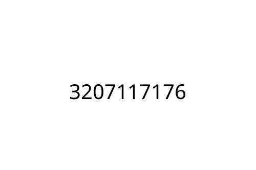 3207117176