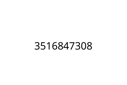 3516847308