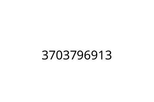 3703796913