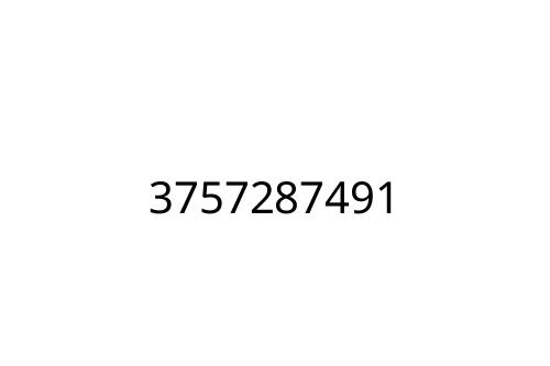 3757287491