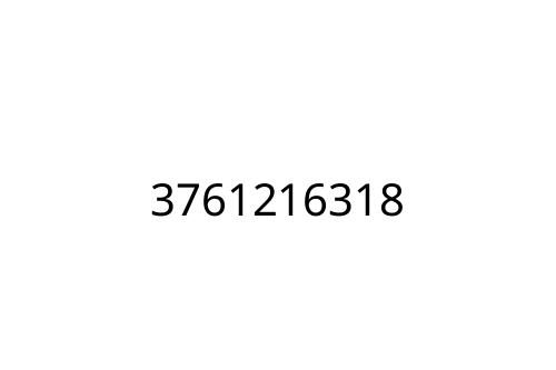 3761216318
