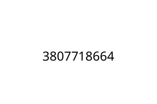 3807718664