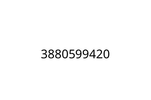 3880599420