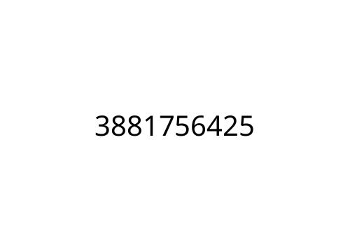 3881756425