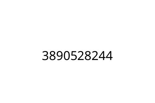 3890528244