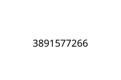 3891577266