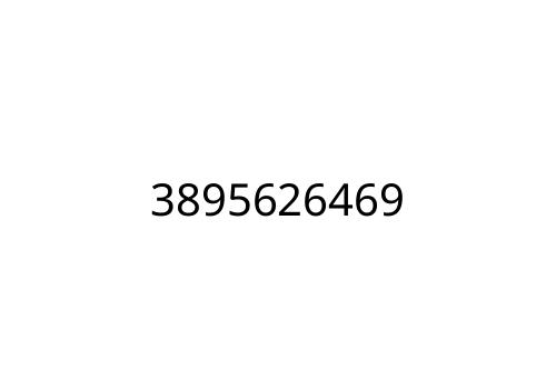 3895626469