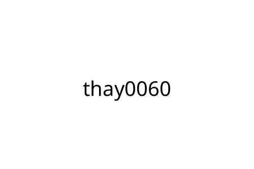 thay0060