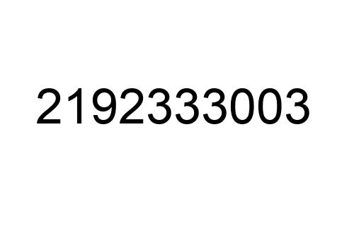2192333003