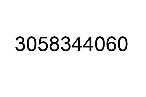 3058344060