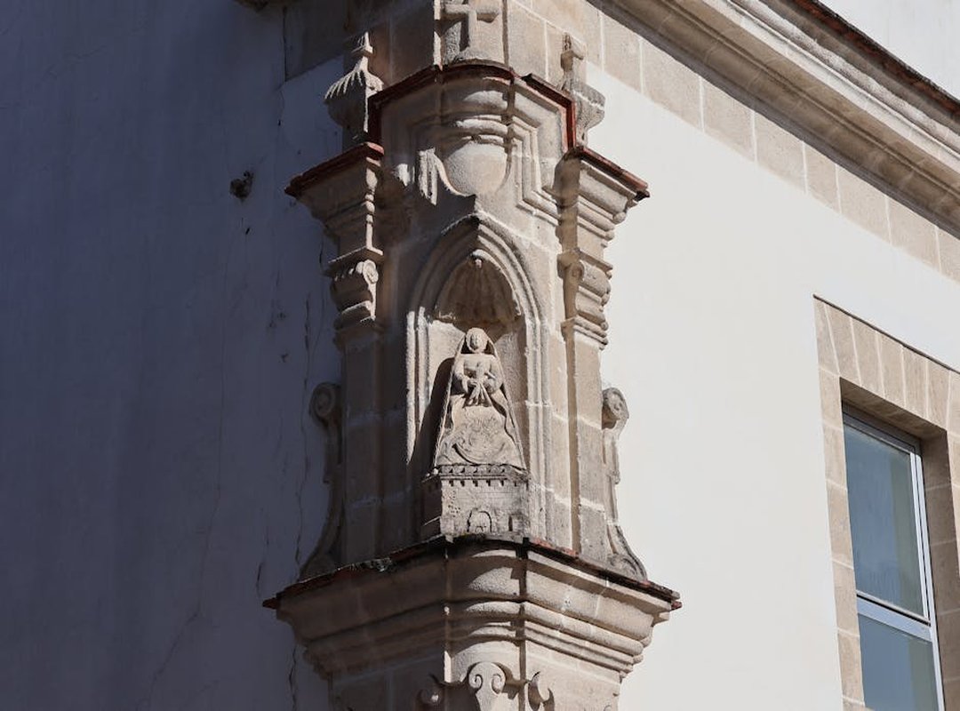 El Arte de Vestirse como una Cebolla: Memes de Capas y Abrigos