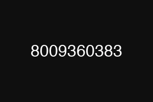 8009360383