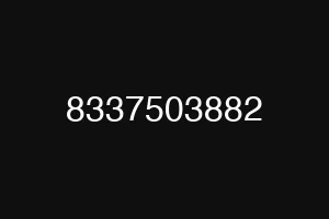 8337503882
