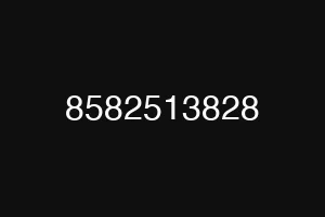 8582513828