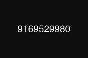 9169529980