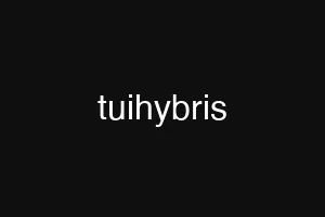 tuihybris