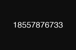 18557876733
