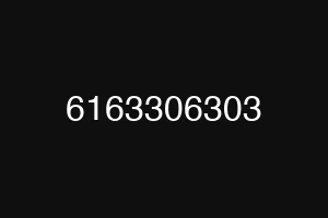 6163306303