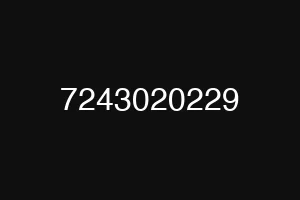 7243020229
