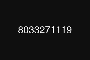 8033271119