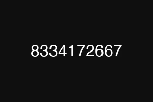 8334172667
