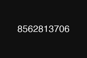 8562813706