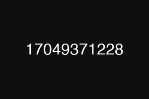 17049371228