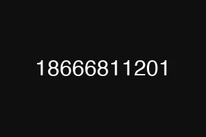 18666811201