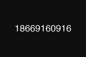 18669160916