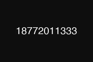 18772011333